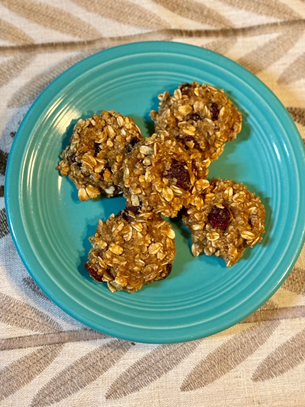 Cancer-Friendly Oat Cran Bites: Nutrient-Rich Snack Cancer-Friendly Oat Cran Bites: Nutrient-Rich Snack