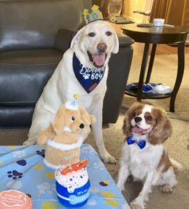 SPike and Winston Sitting Together for a Birthday Photo